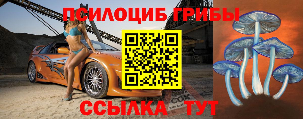Псилоцибиновые грибы Cubensis Трёхгорный