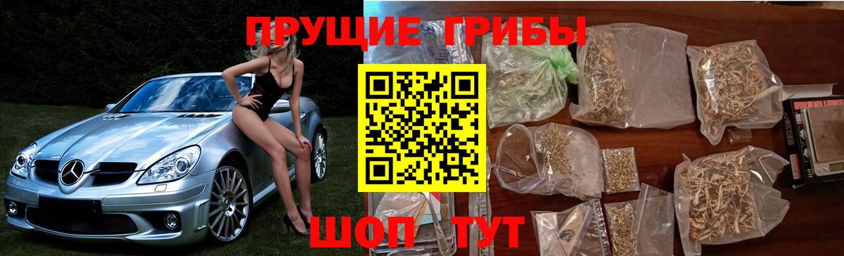 Галлюциногенные грибы Psilocybine cubensis  Вход с VPN  Псилоцибиновые грибы прущие грибы  купить наркотик  Трёхгорный 